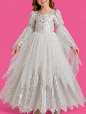 Spirit Halloween Kids Wintery Witch, Princess, Fairy Gown Size L(12-14)